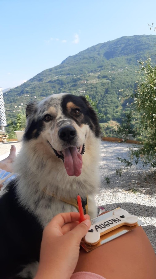 Balto